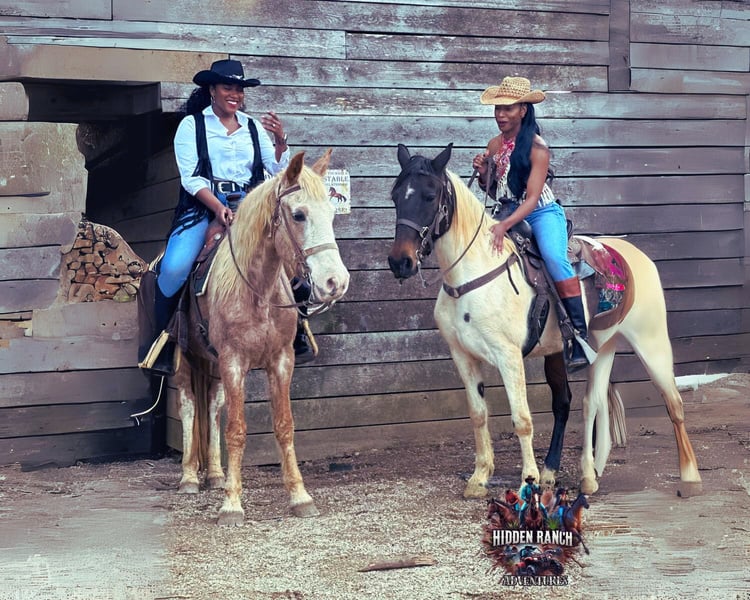 horse back riding.
Trial ride
family day
things to do in Birmingham
Outdoor adventures